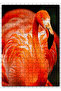 Cakasepetim Elegant Flamingo Black Background 255 Piece Puzzle Jigsaw Puzzle Mdf (Wood)