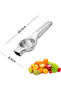 Metal Lemon Hot (Hand-Pressed Model) (20cm) - 2