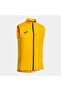 R-Night Iconic Vest Gold Men's Vest