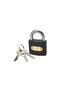 Gray Padlock 25 mm - 2