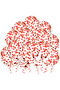 10Pcs Red Transparent Sequin Balloon Set