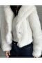 Premium Imported Hooded Short Equivalent Model Great Fur - 4