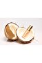 Choco Nut Lip Gloss - 4