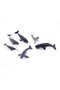 Model Mammal Sea Animals - 3