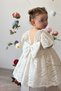 Baby Girl Dress Short Sleeve Bow Detail Birthday Party Wedding Special Occasion Formal Children's Dress - 5