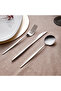 Premium Stylish Designed 60 Piece Cutlery Set for 12 People Boxed Stainless Steel - 5