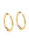 Steel Yellow Hoop Earrings - 2