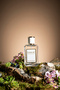 K014 Alien Edp 50ml Kadın Parfüm - 2