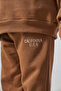 Embroidered Boys' Top and Bottom Tracksuit Set Pale Brown - 6