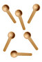 6 Colorful Spice Shovels Spice Spoons - 4