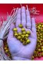 12 mm Yellow Wooden Beads (50 Gr 87 Pieces) Hole Diameter 5 mm Macrame Bag Bracelet Jewelry Board Colorful - 2