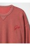 Erkek Pembe VintageSoft Oversize Logo Sweatshirt - 4