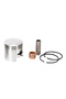ATOMIZOR cu piston complet 3A - 3