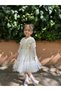 Baby Girl Dress Long Sleeve Flowy Cotton Birthday Party Special Occasion Wedding Girl Kids Dress - 7