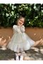 Baby Girl Dress Long Sleeve Flowy Cotton Birthday Party Special Occasion Wedding Girl Kids Dress - 6