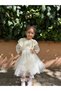 Baby Girl Dress Long Sleeve Flowy Cotton Birthday Party Special Occasion Wedding Girl Kids Dress - 2