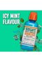 Fresh Breath Oral Rinse Alcohol Free Icy Mint Flavour 500ml - 6