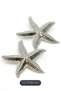Silver Color Vip Earrings with Starfish Figure