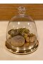 Paste and Cake Blowing Glass Cover Bell Jar and Brass Gold Stand Diameter 21 cm - 7