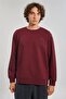 Crew Neck Logo Men's Sweatshirt - Claret Red