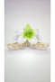 Lotus Double Sided Green Color Latch Buckle 11 cm Large Size - Stylish and Durable - 5