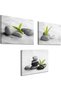 Zen Wall Art Canvas Set of 3 – Stone & Green Plants Bathroom Decor 30x40 cm