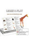 Safari Animals - 15pcs - 6