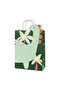 Gift Bag - LARGE | Dinosaur