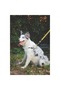 Wild Safari Harness (XS) - 5