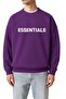 Essentials Printed Unisex Sweatshirt
