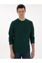 Emerald Regular Fit Sweatshirt 50313298-Vr055 - 3