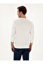 Camel Slim Fit Cotton Blend Crew Neck Knitwear Sweater 50318982-Vr015 - 5