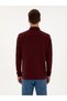 Burgundy Regular Fit 100% Cotton 3 Thread Polo Neck Sweatshirt 50318960-Vr014 - 5