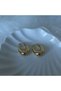 Sienna Steel Earrings