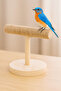 Cikonielf Wooden Bird Platform – Indoor and Outdoor Use, Portable and Durable