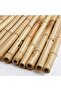 FFD Natural Bamboo Plant Supports - 60cm Gardening Stakes Pack of 5