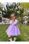 Baby Girl Dress Tulle Tutu Bow Birthday Party Wedding Special Occasion Girls Evening Dress