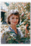 Cakasepetim Sophia Loren Portrait 255 Piece Puzzle Jigsaw Puzzle Mdf (Wood)