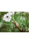 Cakasepetim Iguana between Green Branches Flu Background 120 Piece Puzzle Jigsaw Puzzle Mdf (Wood)