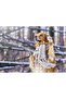 Cakasepetim Scarf-Wearing Dog 255 Piece Puzzle Jigsaw Mdf (Wood)