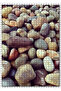 Cakasepetim Colorful Sea Stones 1000 Piece Puzzle Jigsaw Mdf (Wood)
