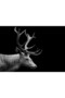 Cakasepetim Legendary Deer Close-Up Dark Background 1000 Piece Puzzle Jigsaw Puzzle Mdf (Wood)