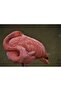 Cakasepetim Flamingo Relaxing by Wrapping Around Itself 1000 Piece Puzzle Jigsaw Mdf (Wood)