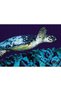 Cakasepetim Sea Turtle at the Seashore 120 Piece Puzzle Jigsaw Mdf (Wood)