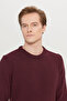 Men's Burgundy Cotton Standard Fit Regular Cut Crew Neck Jacquard Knitwear Sweater - 4