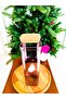 Kavera 2-Piece Wooden Lid Storage Container Smoked Color - 2100 ml - 6