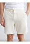 Lcw visiongri standard fit men's shorts - 3