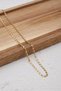 Steel Parrot Men's Chain Necklace 2mm Does Not Tarnish - 3