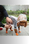 1 Piece-Pomeranian Transparent Dog Raincoat – Pvc, Waterproof, Suitable for All Breeds - 4
