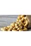 Raw Cashew(1kg)